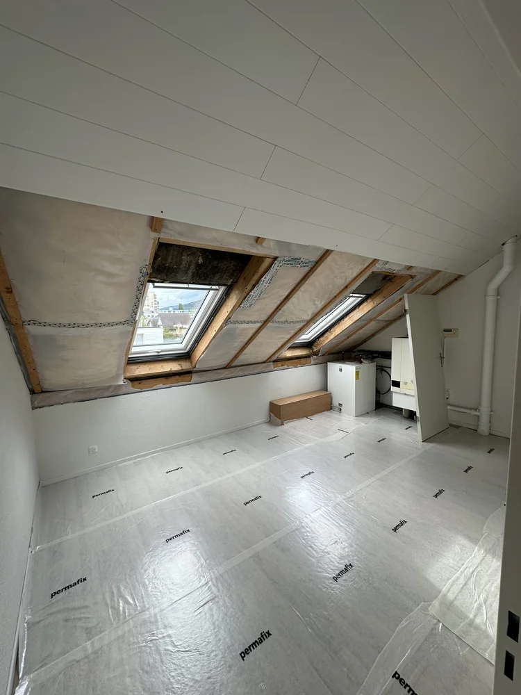 Umbau & Renovierungen Bau projekt
